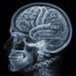 Profile picture of ScallyCasshPig