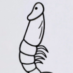 Profile picture of Pindick